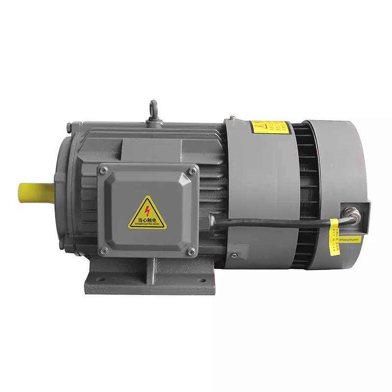 PMSM tần số biến thiên tích hợp: Tương lai của động cơ điện